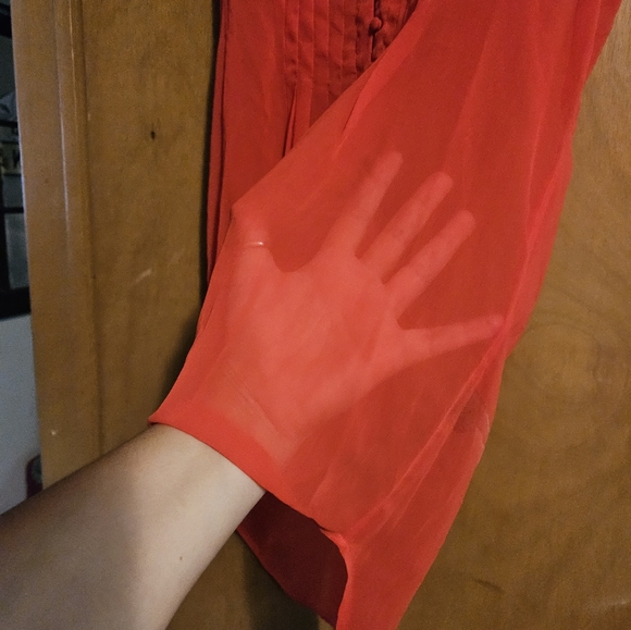 Dex Sheer Blouse - Picture 3 of 3